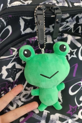 Cute Anime Frog Plush Toy Keychain Y2K Animecore photo review
