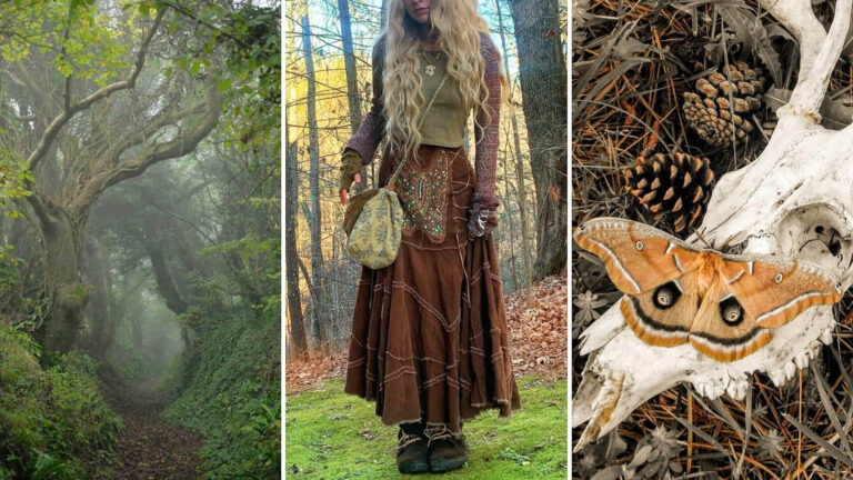Goblincore Style What is the Witchcore Aesthetic Aesthetics Wiki Orezoria Goblincore Style - What is the Witchcore Aesthetic - Aesthetics Wiki - Orezoria