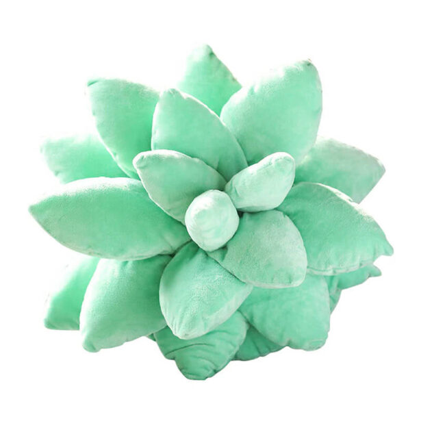 Plant Mom Aesthetic Succulent Pillow 1