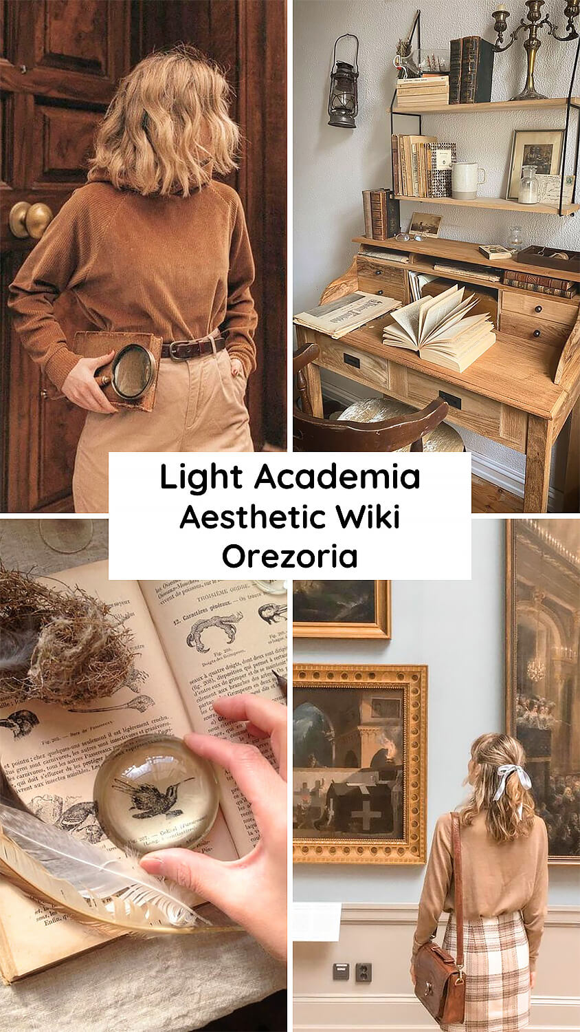 What is the Light Academia Aesthetic Aesthetics Wiki Orezoria