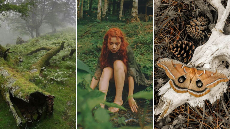 Key Elements of the Goblincore Aesthetic What is the Goblincore Aesthetic Aesthetics Wiki Orezoria Key Elements of the Goblincore Aesthetic - What is the Goblincore Aesthetic - Aesthetics Wiki - Orezoria