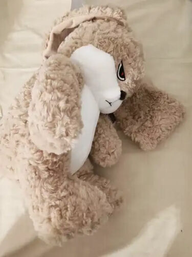 Angry Rabbit Plush Toy Cute Kidcore Aesthetic Gift photo review