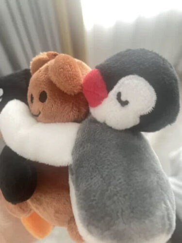 Pingu and Pinga Hugs Bear Plush Toys Set Cute Aesthetic photo review