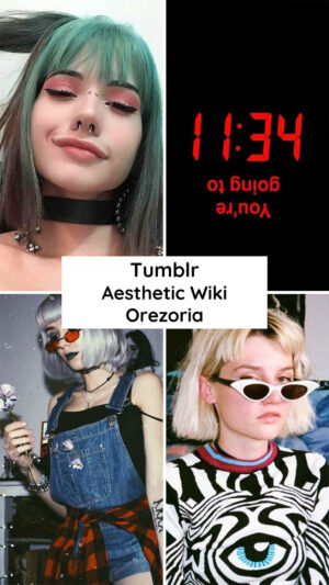 What is the Tumblr Aesthetic - Aesthetics Wiki - Orezoria