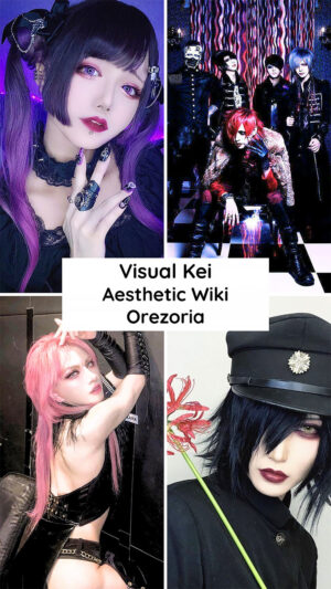 What is the Visual Kei Aesthetic - Aesthetics Wiki - Orezoria