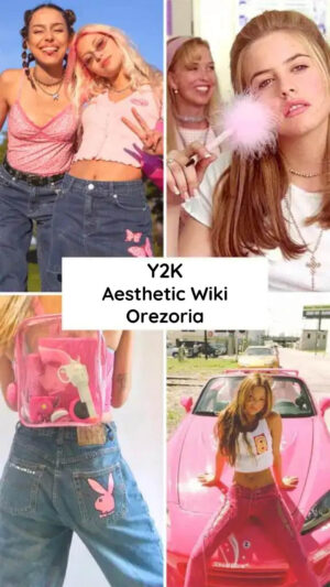What is the Y2K Aesthetic - Aesthetics Wiki - Orezoria